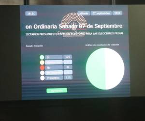 En una sesión marcada por intensas negociaciones y presiones políticas, el Congreso Nacional aprobó por unanimidad el presupuesto del Consejo Nacional Electoral (CNE), asegurando los fondos necesarios para las elecciones primarias de marzo de 2025.