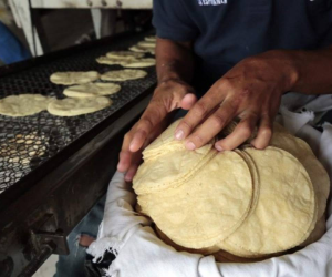 Las tortillas valen tres unidades por dos lempiras en cualquier establecimiento y no verán aumento, según lo prometido por el gobierno.