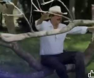 Como un niño fue captado el expresidente Manuel Zelaya Rosales mientras se columpiaba, con una sonrisa de oreja a oreja, en la rama de un frondoso árbol. Esta no es la primera vez que es grabado en curiosas situaciones en los últimos días. Te contamos a continuación.