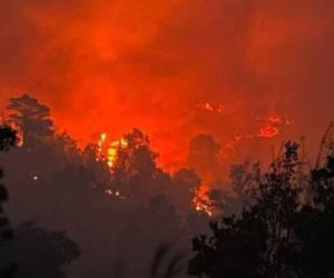 Un fuerte incendio mantiene en llamas la reserva biológica de Misoco. El ICF aseguró haber controlado la situación, sin embargo, ciudadanos compartieron imágenes del siniestro en horas de la noche.