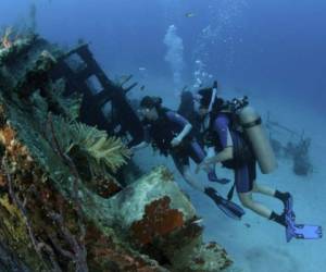 Aguas cristalinas, playas blancas e impresionante fauna marina conviven en Utila. Foto cortesía Budd Riker. USA Toda 10 best