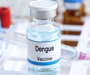 Más de 15,000 casos de dengue se reportan en el transcurso de junio.