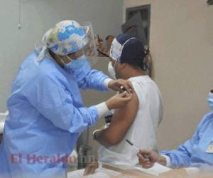 966,469 personas han completado la pauta de vacunación contra el coronavirus en Honduras, indican cifras de la Secretaría de Salud.