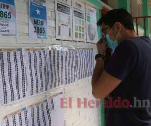 Un total de 697,230 nuevos votantes se registran en el último censo electoral del CNE que será entregado hoy a los partidos políticos para las elecciones primarias del 9 de marzo del 2025.