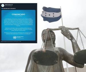 La ONU compartió el comunicado en sus redes sociales en conjunto con varias embajadas. La comunidad internacional exhortó a realizar un proceso democrático y transparente.