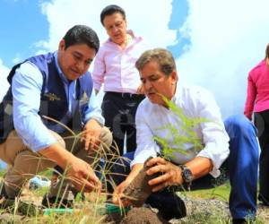 El entrenador nacional mientras planta un árbol en el Proyecto Goal de El Tizatillo. Fotos: Ronal Aceituno.