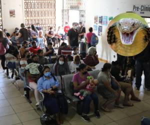 El personal de salud mira más personas con dengue, diarrea, varicela y mordedura de animales. Este es uno de los peores años en cifras de pacientes atendidos por la enfermedad transmitida por el mosquito, hay más de 240 personas con dengue grave.