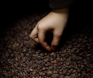 El café es uno de los productos más consumidos por la gente.
