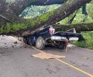 El vehículo pick-up se encontraba transitando por la carretera cuando un árbol le cayó encima.