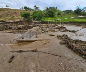 Familias en el municipio de Trojes, El Paraíso, tanto en áreas urbanas como rurales, se encuentran gravemente afectadas por el temporal lluvioso que ha causado daños significativos en la región.