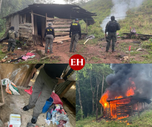 Las autoridades procedieron a incinerar y destruir las plantaciones de la droga tras el aseguramiento.