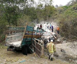 El pesado vehículo se estrelló y las dos personas que se transportaban en él no pudieron salvarse.