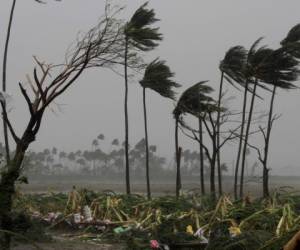 Los árboles arrancados se encuentran en medio de vientos racheados en el distrito de Puri después de que el ciclón Fani azotara la costa este de Odisha, India, el viernes 3 de mayo de 2019.