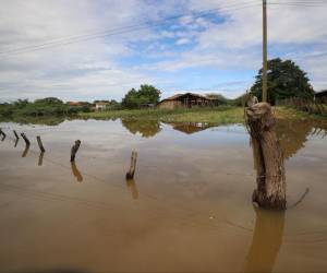 Varias comunidades al sur de Honduras continúan este miércoles -1 de noviembre-incomunicadas y con sus pobladores rodeados de agua, así lo captó EL HERALDO en un nuevo recorrido por El Cubulero, El Aceituno y otros lugares de Valle, que permanece en alerta roja.