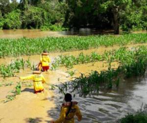 En varias zonas del país las lluvias causadas por la tormenta tropical Sara inundaron una gran cantidad de cultivos.