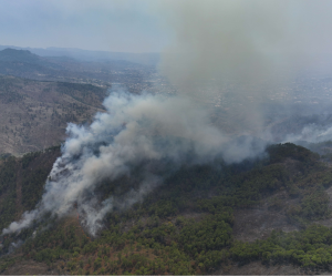 Desde el domingo, La Tigra es afectada por un incendio forestales que ha acabado con 400 hectáreas de bosque.