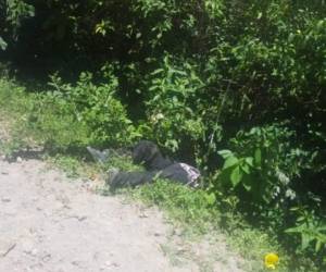 El cadáver del infortunado campesino fue dejado a un lado de la calle de tierra.