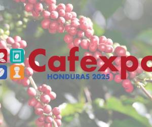 CAFEXPO Honduras 2025 busca crear un espacio de encuentro entre los diferentes actores de la cadena de valor del café a nivel nacional e internacional