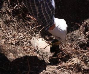 Un colectivo de búsqueda de desaparecidos halló tres crematorios clandestinos además de restos de huesos humanos calcinados y triturados, cientos de zapatos y de prendas de vestir, en un predio en el municipio de Teuchitlán, estado de Jalisco, oeste de México, atribuido a uno de los carteles del narcotráfico.