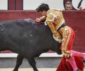 Momento en que toro da cornada a Gonzalo Caballero. Foto: Twitter.