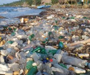 El rompimiento de una barda arrastró muchísima basura.