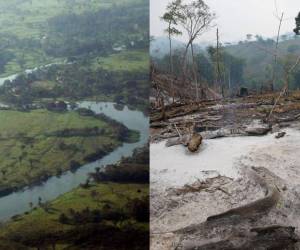 A pesar de ser una importante reserva de vida, la deforestación, ocupación de tierras y narcocarreteras mantienen el conflicto en el río Plátano.