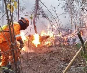 Al menos tres incendios se reportaron durante la Semana Santa, en el cerro El Tigro, en Tegucigalpa.