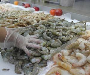 Los acuicultores consideran que el precio ideal debería oscilar entre 6.30 y 6.50 dólares por kilogramo para que la exportación sea rentable.