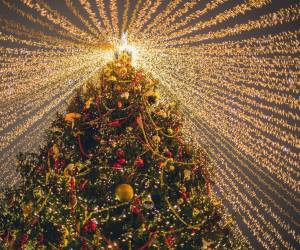 Las luces navideñas no solo embellecen el paisaje, sino que cargan con un mensaje de esperanza, fe, unión y paz.