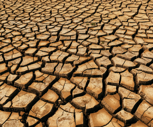 Los efectos en las temperaturas mundiales suelen notarse al año siguiente del desarrollo del fenómeno.