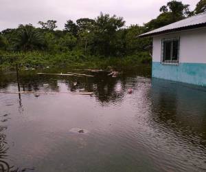 Varios ríos se han salido de su caudal en Gracias a Dios debido a las fuertes lluvias que deja la tormenta tropical Sara. El agua ha llegado hasta las zonas bajas, alcanzando viviendas. La diputada Erika Urtecho informó que son 8 las comunidades afectadas.