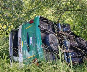 Hasta el momento se desconoce qué provocó que el bus se saliera de la carretera.