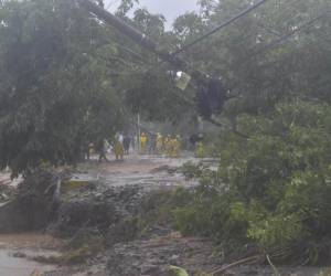 Esta imagen muestra la trayectoria de la tormenta tropical Sara en su paso por Honduras. Se dirige a Belice.