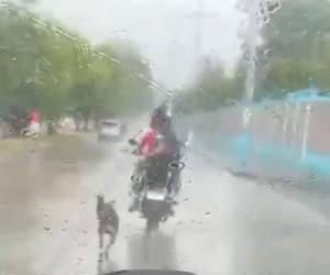 Esta es una captura de pantalla tomada del video donde quedó captado el maltrato al cachorro.