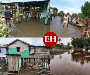 Wampusirpi y Villeda Morales son los municipios que a causas de las torrenciales lluvias mostraron inundaciones. De acuerdo al coordinador de la Plataforma Nacional de Incidencia Indígena de Honduras, Mario Miller, hay aproximadamente 35 mil personas afectadas en distintas comunidades del departamento de Gracias a Dios.