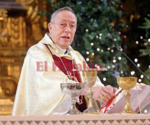 El cardenal Rodríguez lamentó el sangriento hecho que ha conmocionado al país luego de la muerte de cuatro jóvenes, entre ellos el hijo de un expresidente de la República.