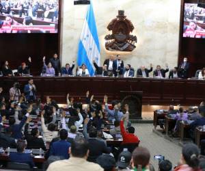 Para este miércoles -15 de febrero- los diputados fueron convocados a la sesión legislativa, donde se elegirán a los nuevos magistrados a la Corte Suprema de Justicia (CSJ).