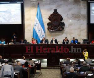 El Congreso Nacional sostiene diálogos con gremios médicos e instituciones sanitarias para fijar un presupuesto para 2023.