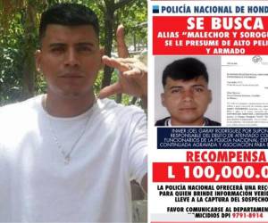 Por sus alias “Soroguara” y “Malechor” fue identificado Inmer Joel Garay Rodríguez, miembro de la estructura criminal “Los Soroguaras” que murió abatido por elementos policiales cuando se disponían a capturarlo, junto a otros tres pandilleros. Hace casi un año la Policía Nacional había ofrecido 100,000 lempiras por información para dar con su paradero. ¿A qué se dedicaba y por qué era considerado de “alta peligrosidad”? A continuación los detalles.