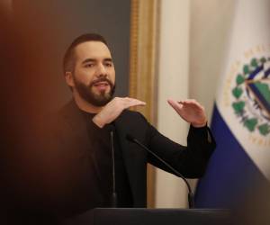 El presidente de El Salvador, Nayib Bukele, anunció este martes que su Gobierno asumirá en este mes de enero el pago del consumo de agua y energía eléctrica del “95 %” de los hogares realizados en diciembre pasado, como parte de una medida para “aliviar” la economía de los ciudadanos. ¿En qué consiste la medida?