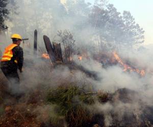 Más del 90% de los incendios en Honduras son provocados por el ser humano, a menudo debido a prácticas agrícolas irresponsables que descontrolan el fuego.