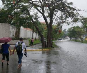 Para el cierre de esta última semana de noviembre, Cenaos pronostica lluvias durante todas las mañanas, sobre todo en la zona norte de Honduras.