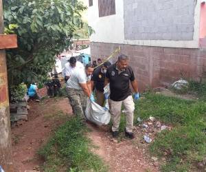 La joven mujer fue atacada en un callejón de su vivienda.