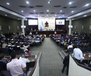 El Congreso Nacional se reunió este martes para aprobar el presupuesto de la Unidad de Política Limpia.