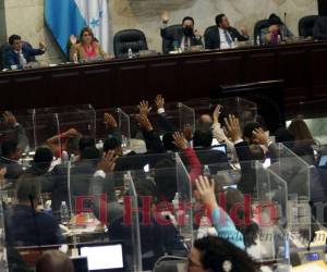 Los diputados de las tres fuerzas mayoritarias del CN rechazaron la iniciativa debido al desconocimiento del proyecto y pidieron tiempo para poder analizarlo.