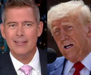 Sean Duffy es el segundo miembro del gabinete anunciado por Trump que trabaja para la Fox.