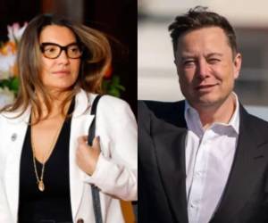 La primera dama de Brasil insulta a Elon Musk; esto le responde el multimillonario