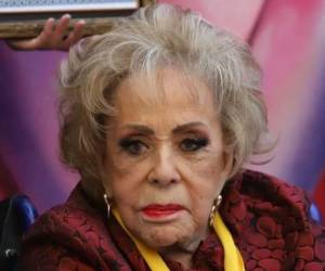 Tras el fallecimiento de Silvia Pinal, figura del cine de oro mexicano, el misterio en torno a su herencia ha generado un sinfín de especulaciones. En los últimos días, se intensificaron los rumores sobre una supuesta apertura del testamento luego de que integrantes de la familia fueran captados en una reunión privada.