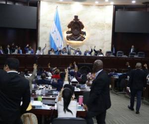 Desde sociedad civil piden a los congresistas enforcar el presupuesto en temas prioritarios como lo es salud y educación.