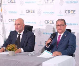 La Comisión Reguladora de Energía Eléctrica (CREE) comunicó este lunes la determinación de congelar la tarifa eléctrica para el primer trimestre del 2025.